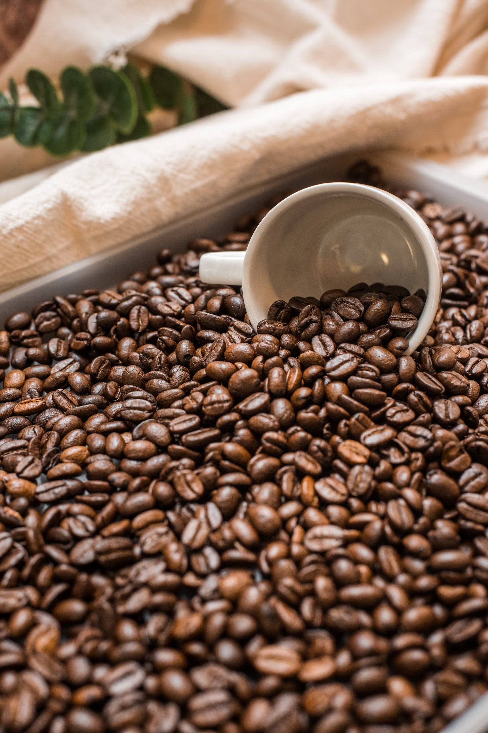 The Art of Coffee Roasting